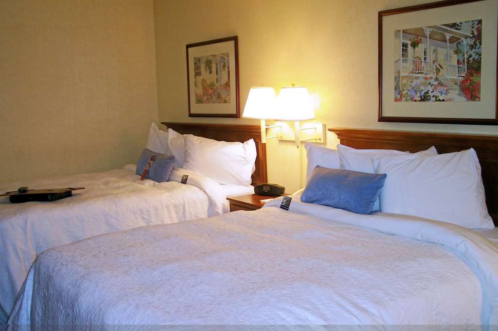Hampton Inn Salem East - Electric Road Camera foto